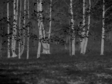 Pit Viper Thermal Rifle Scope